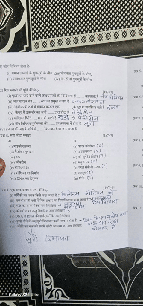 class 11th biology trimasik viral paper 2024