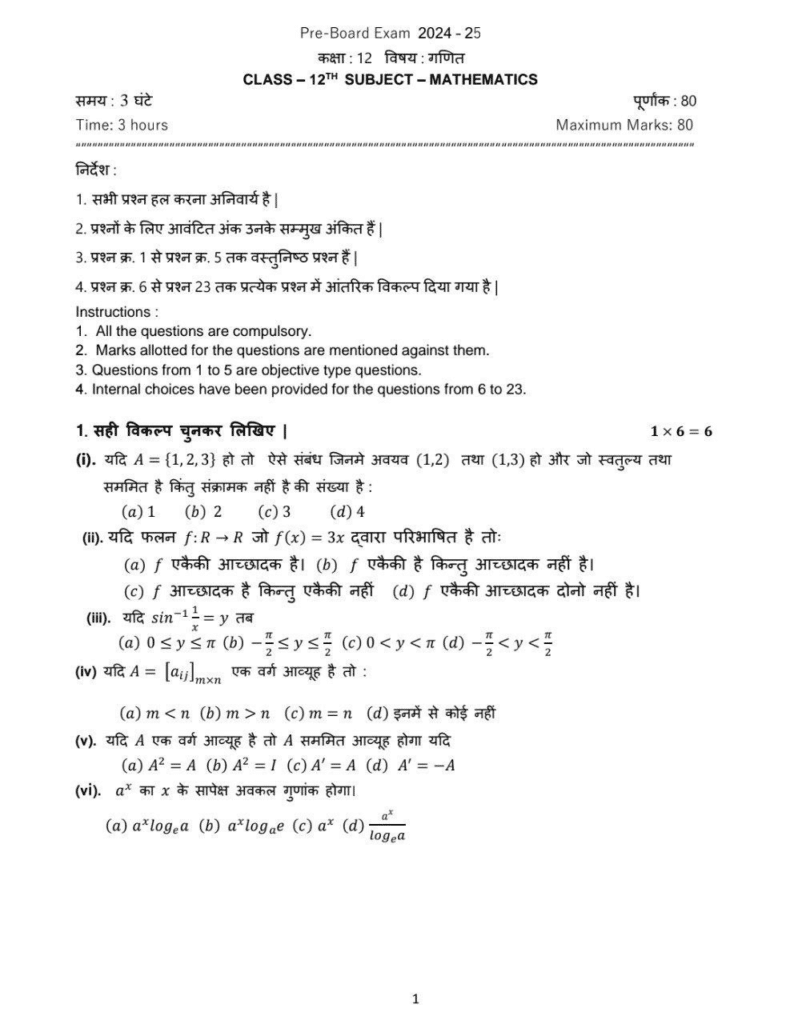 class 12th maths pre board paper 2025